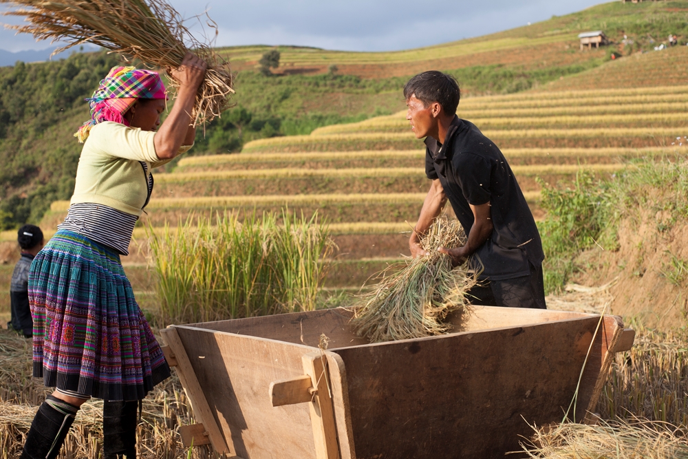 Bên cạnh những cảnh sắc tuyệt mĩ mà thiên nhiên ban tặng, du khách còn được tận mắt nhìn thấy những hoạt động của người dân nơi đây.